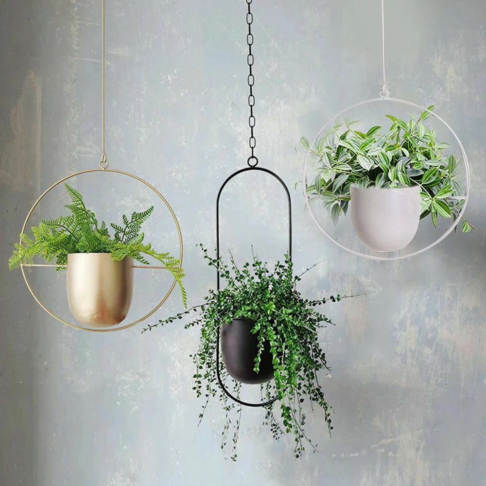 Metal Hanging Flower Pot - Your Homes Décor and More