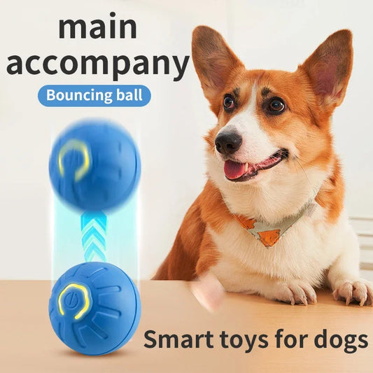 Smart Interactive Pet Toy.  Moving Ball With USB Charging.  Automatic Moving Bouncing for Puppy, Kitten, Adult Dog, and Cat's.