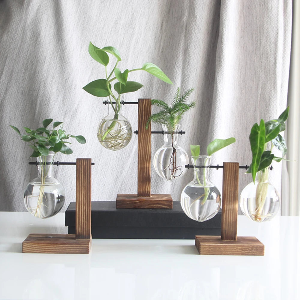 Creative Glass Desktop Planter Bulb Vase Wooden Stand Hydroponic Plant Container Home Tabletop Decor Vases - Your Homes Décor and More