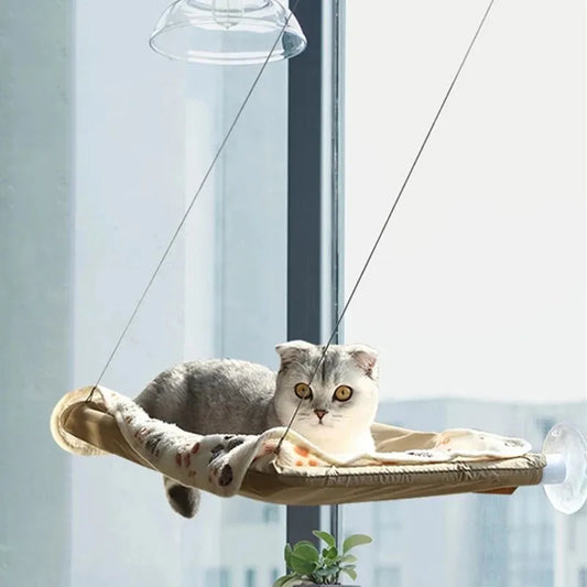 Hanging Cat Hammock  Kitten Climbing Sunny Window Nest