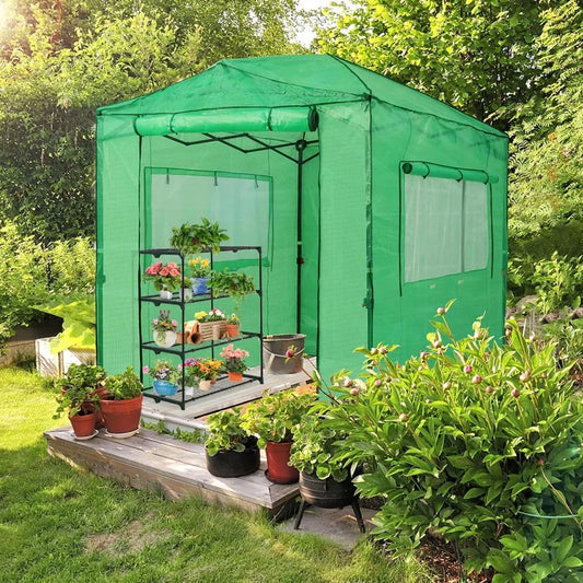 8x6 Portable Walk-in Greenhouse Instant Pop-up Design.  Indoor, Outdoor Plant Gardening Green House With Canopy, Roll-Up Zipper Entry Doors