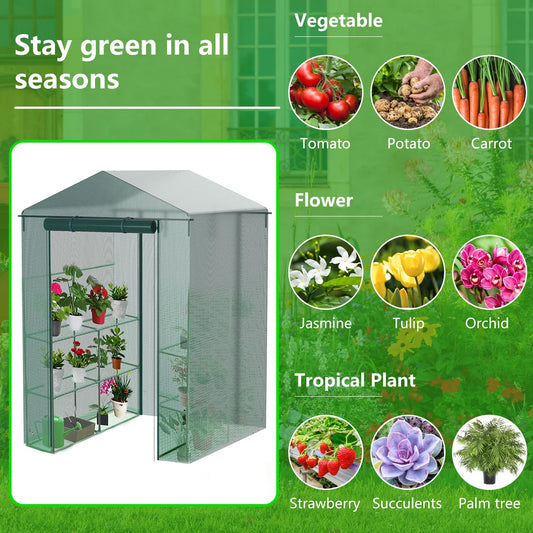Plant Gardening Greenhouse Walk-In Greenhouse Frost-Proof Wind-Proof and Rain-Proof Greenhouse